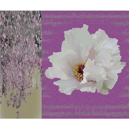 Nature’s Rhythm 2402