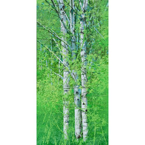 white birch(g)