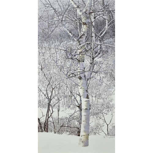 white birch(w)