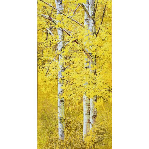 white birch(y)