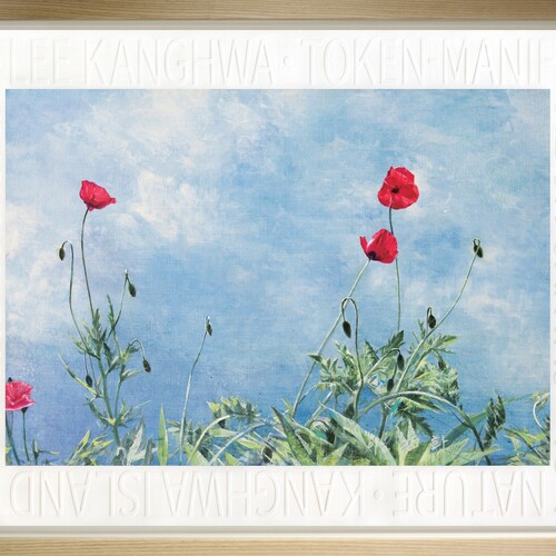 양귀비-기분좋은 날