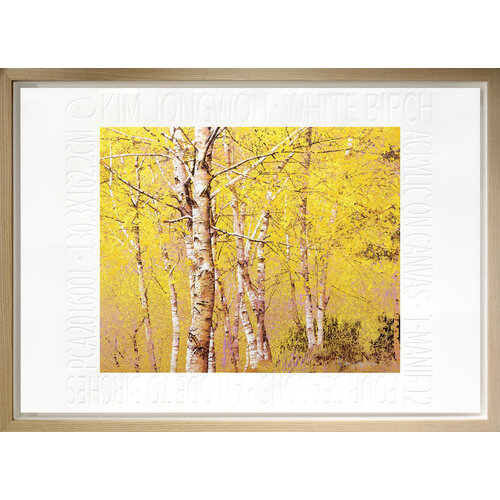 White birch(yellow)