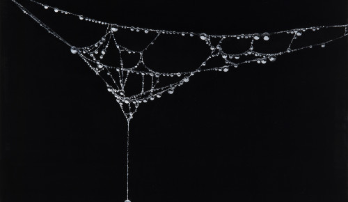 아라크네 Arachne