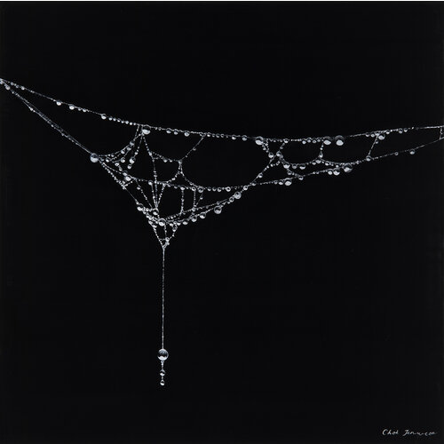 아라크네 Arachne