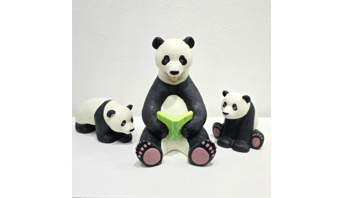 Panda Book
