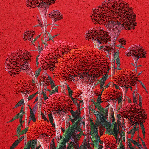 COCKSCOMB-단심(丹心)