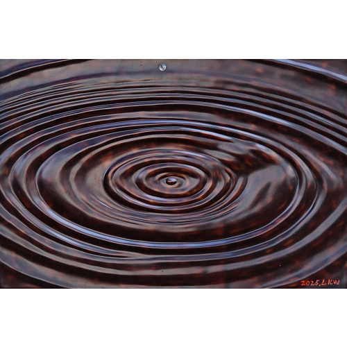 Wave-Circulation III